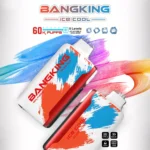 Bang King 60K Puffs Ice Cool VAPE 12