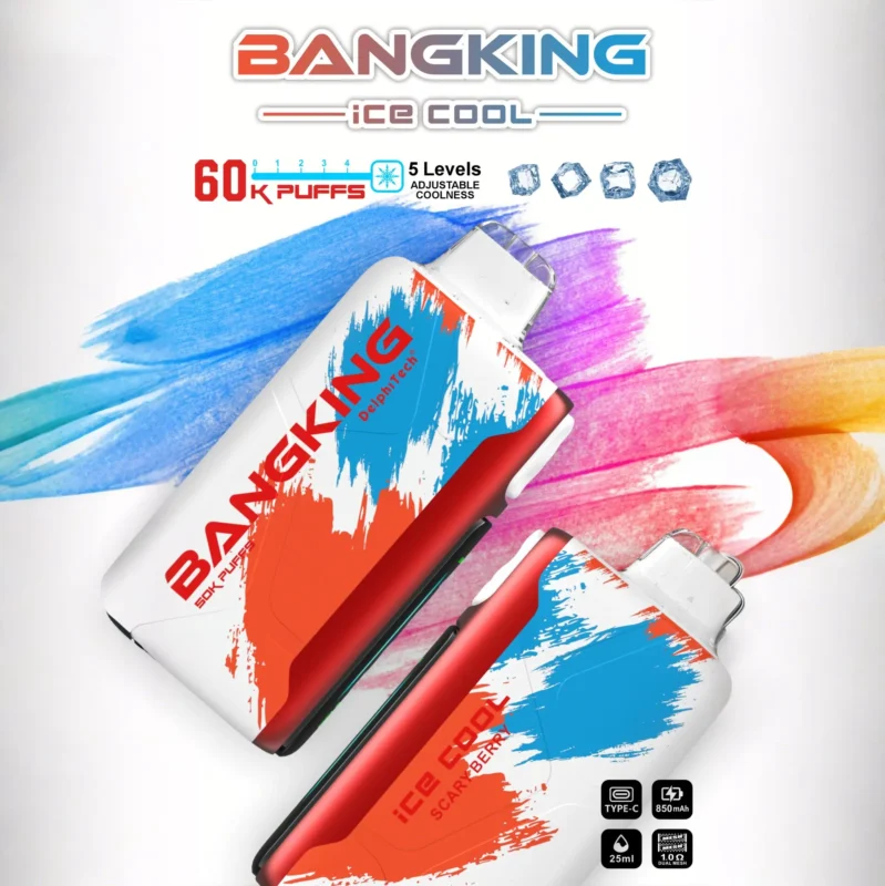 Bang King 60K Puffs Ice Cool VAPE 12