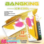 Bang King 60K Puffs Ice Cool VAPE 7