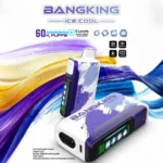 Bang King 60K Puffs Ice Cool VAPE 8