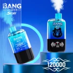 Bang Leader Stoll 120k VAPE 15