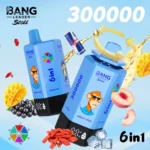Bang Leader Stoll 300K VAPE 11