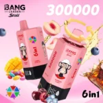 Bang Leader Stoll 300K VAPE 8