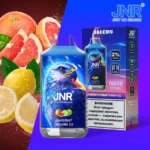 JNR Falcon 16K VAPE 24