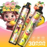 QQ-BANG-30000-Puffs-DSK083-30K-Rechargeable-Disposable-Vapes-2