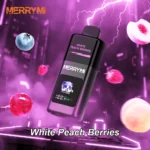mecha-pro-edge-photo-20